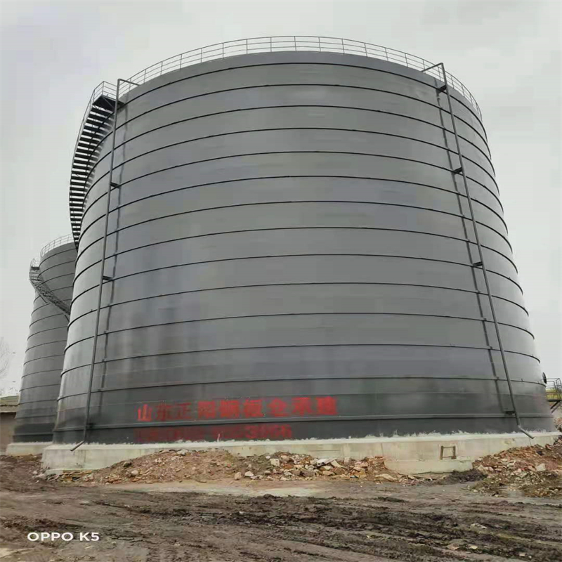 感城镇3万吨大型钢板库