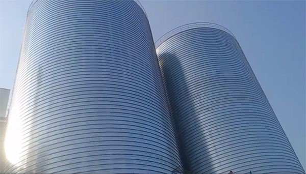 感城镇2座混凝土高架卷板仓